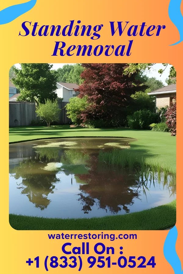 Standing Water Removal in Union, IL
